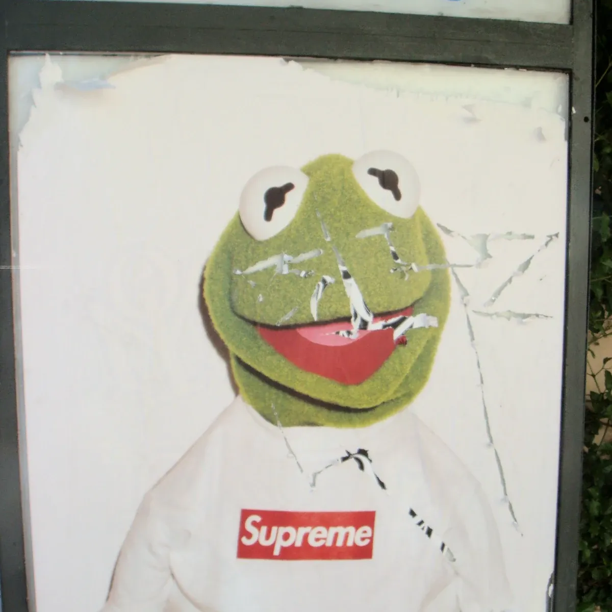 Kermit on a torn Supreme poster beneath a Phone sign, photographed during my 2008 trip to Los Angeles.