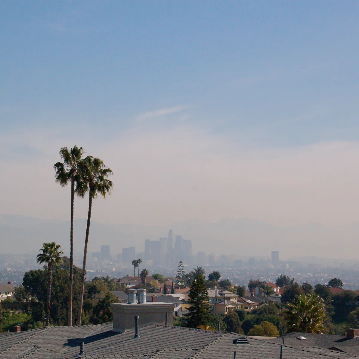 The Los Angeles skyline in the haze beyond palm trees and rooftops, 2008.